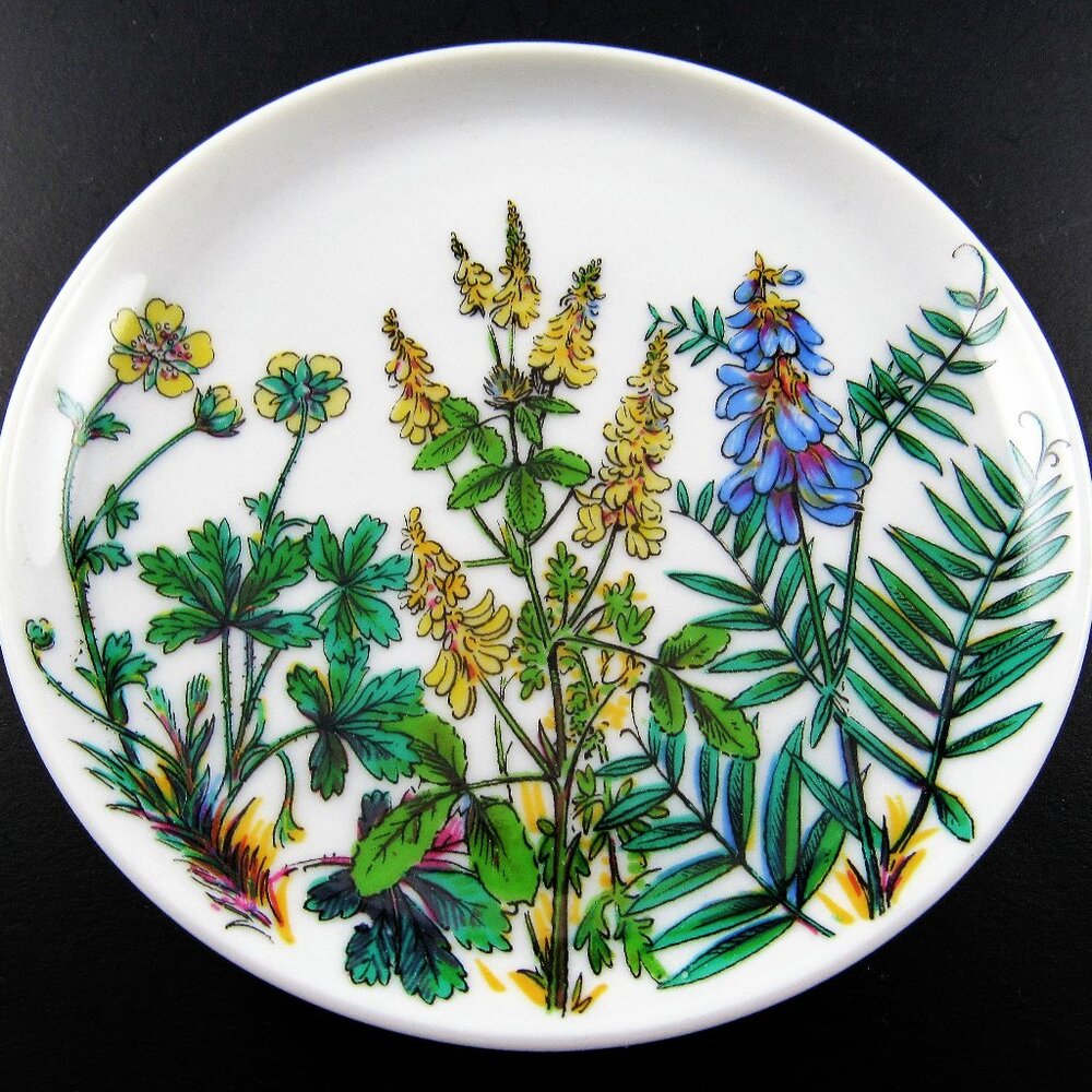 VINTAGE KAISER SET OF 6 BUTTER PAT PLATES MADE IN W GERMANY (E35)